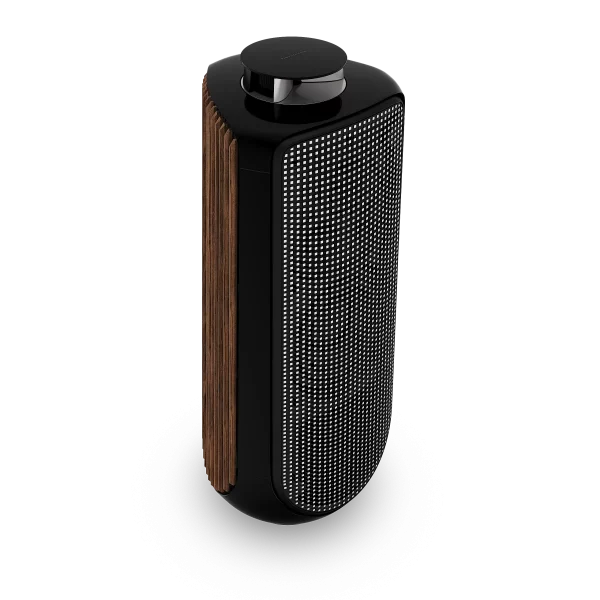 Bang & Olufsen Beolab 50 - Image 4